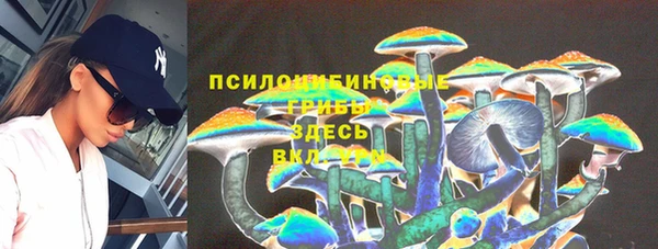 тгк Алексеевка
