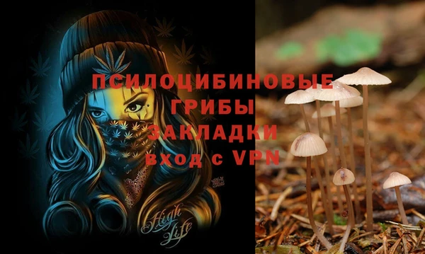 а пвп мука Калининец