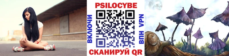 что такое наркотик  kraken как зайти  Псилоцибиновые грибы мицелий  Асино 